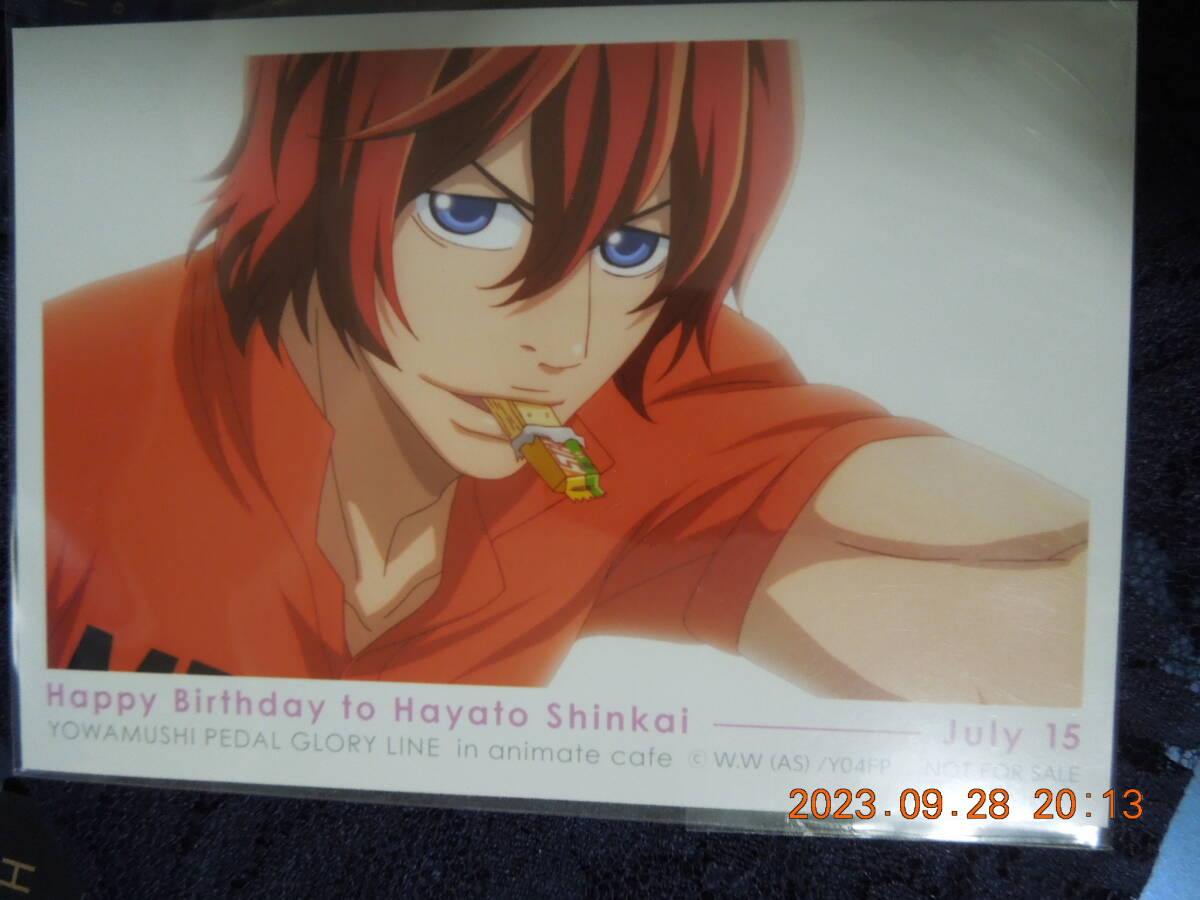 弱虫ペダル バースデーブロマイド / 新海隼人 / 非売品拍卖