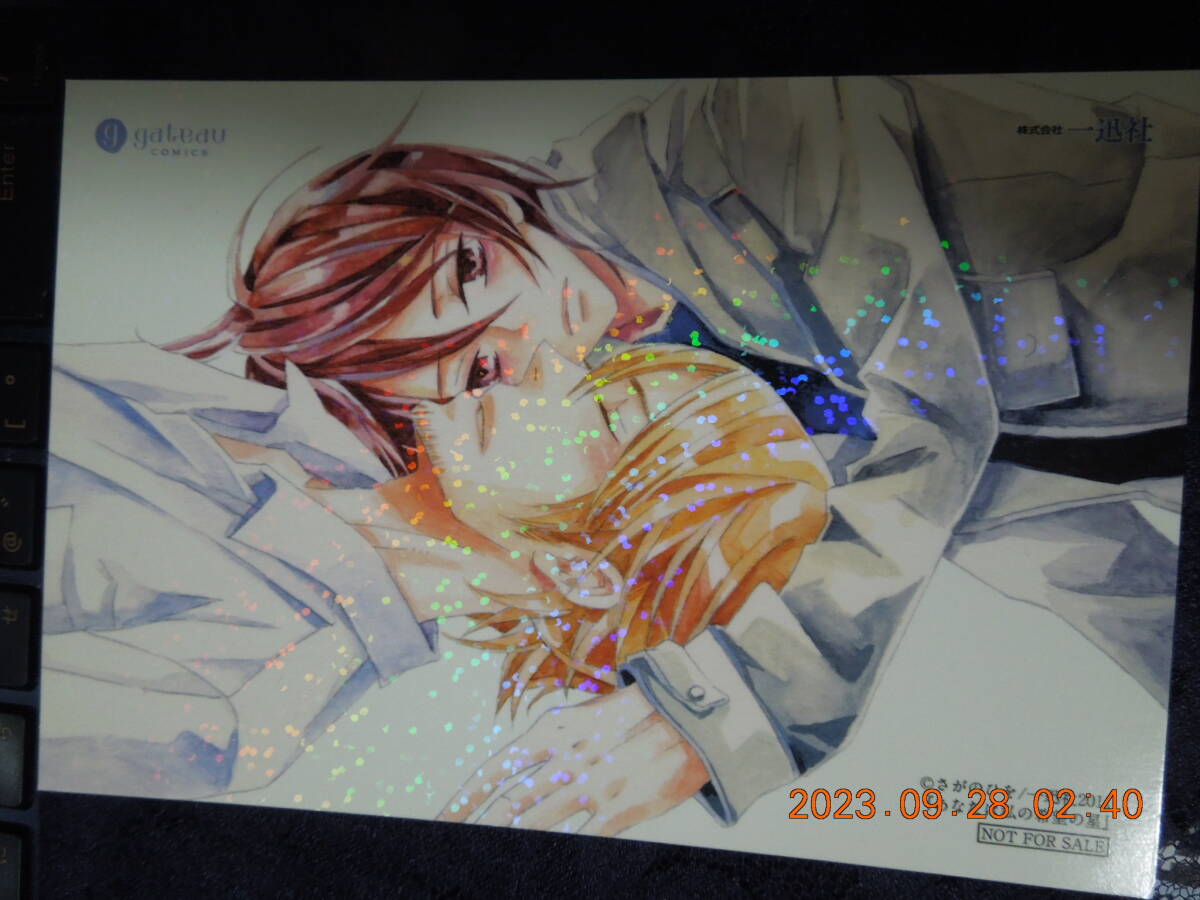 あなたは私の希望の星 ポストカード / さがのひを / ホログラム工 非売品 / イラストカード拍卖