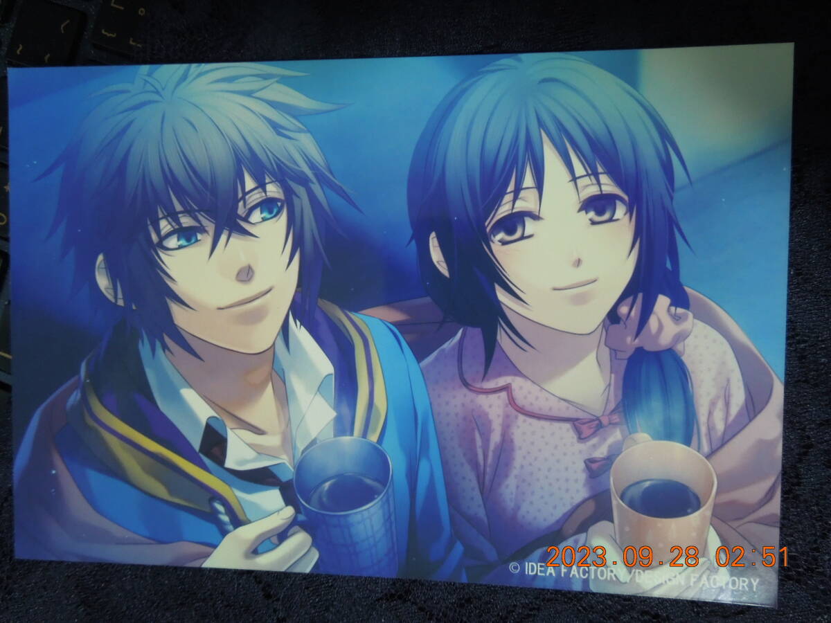 薄桜鬼SSL~sweet school life~ A6サイズ ブロマイド / 雪村千鶴 藤堂平助拍卖