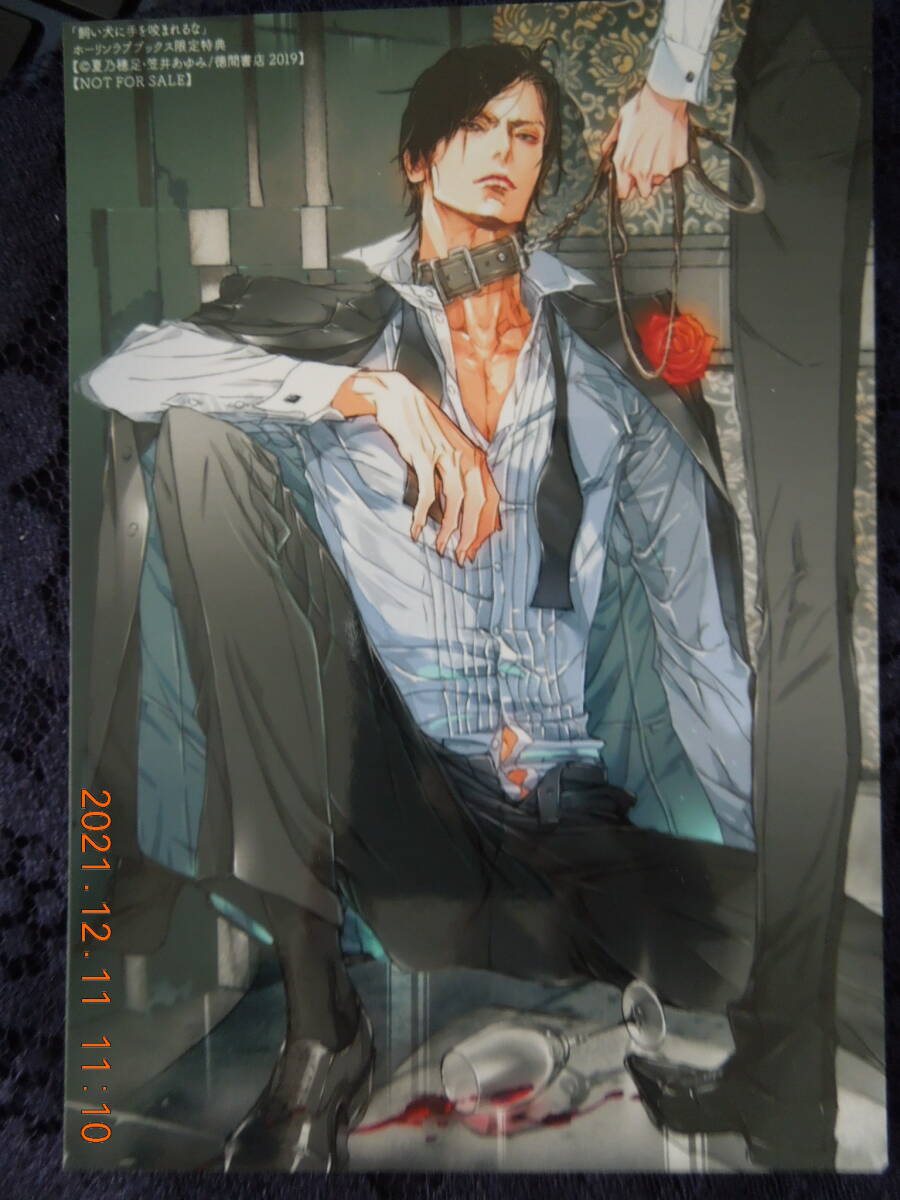 飼い犬に手を咬まれるな ブロマイド / 夏乃穂足 笠井あゆみ / ホーリンラブブックス限定特典拍卖