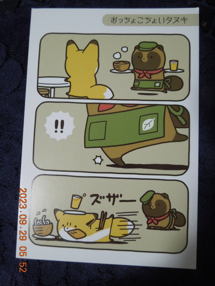 タヌキとキツネ カフェ限定 ポストカード / アタモト / イラストカード拍卖