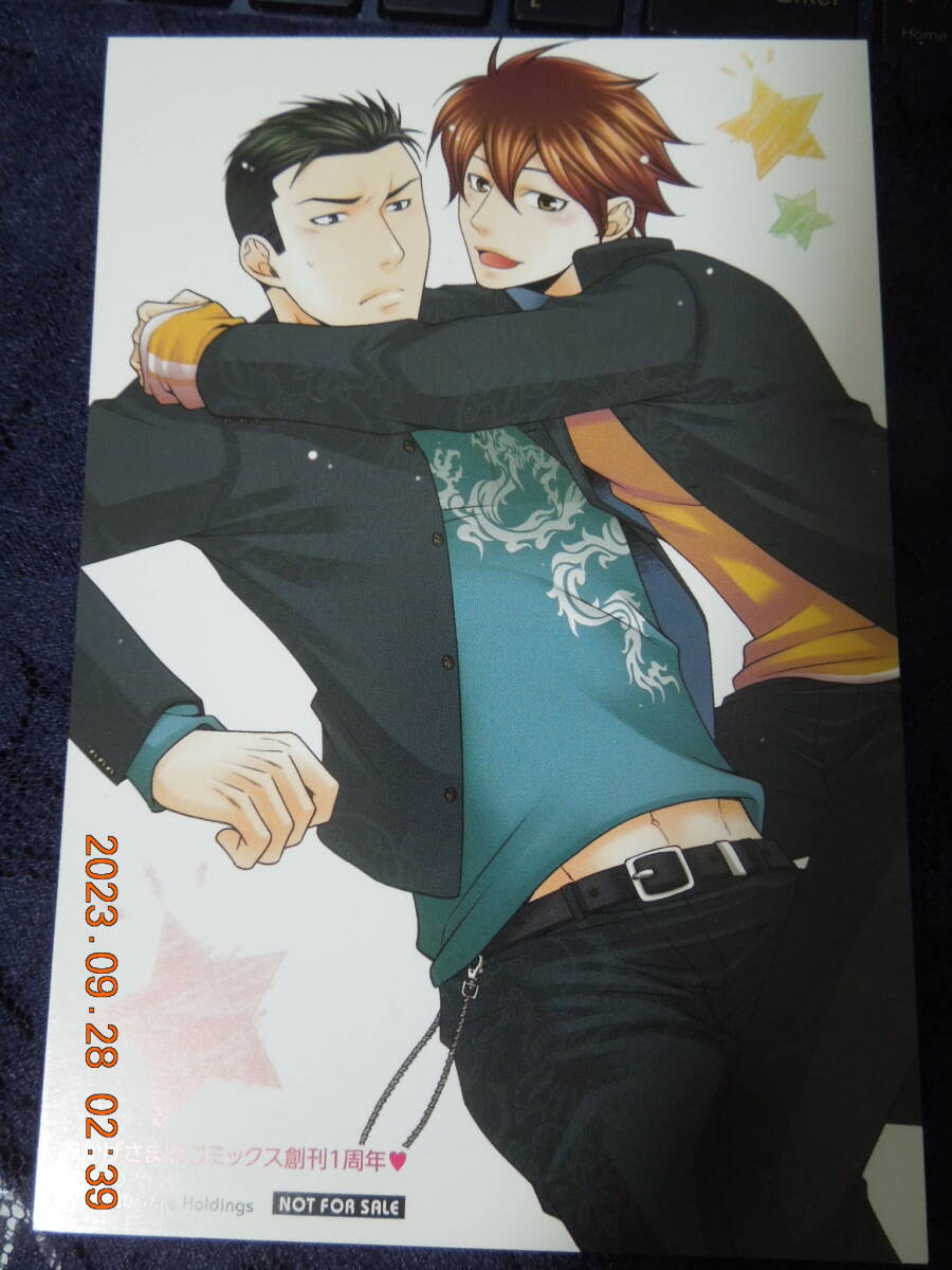 青春ティアーズ ポストカード / ぱんこ / 非売品 イラストカード拍卖