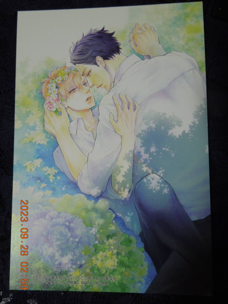 この犬はまだ甘い毒を知らない ポストカード / ここのつヒロ / コミコミスタジオオリジナル特典 イラストカード拍卖