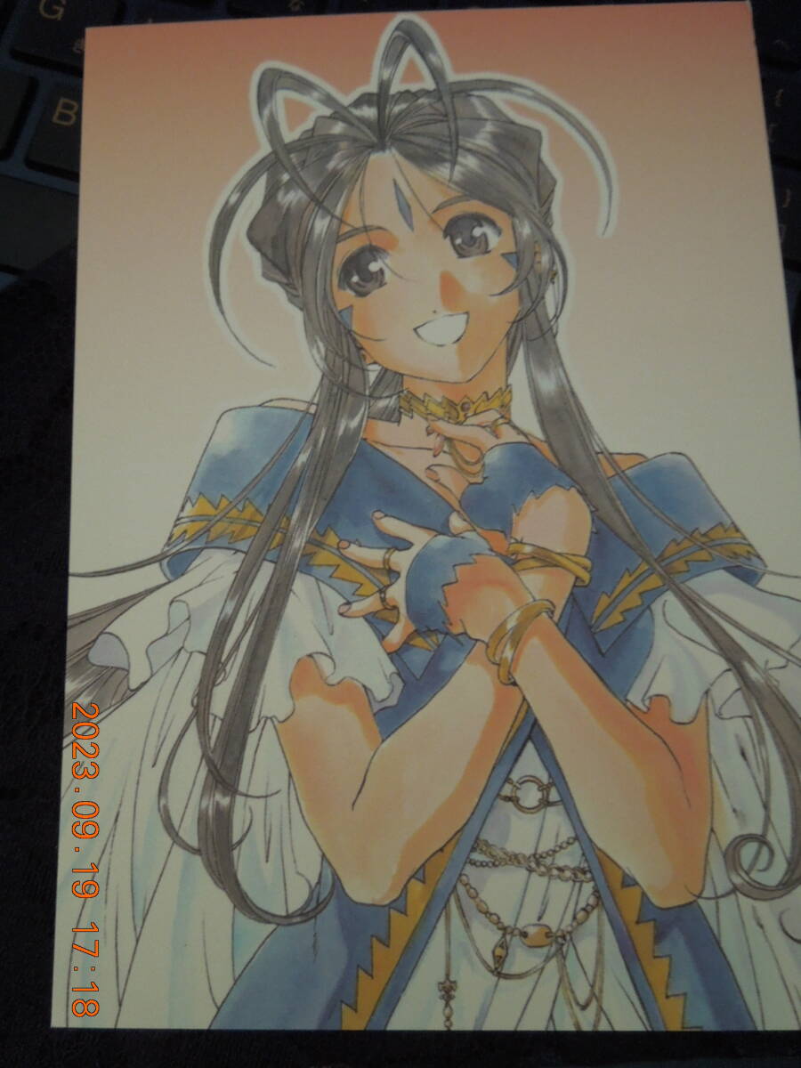 ああっ女神さまっ ポストカード / ベルダンディー / 藤島康介 / イラストカード拍卖