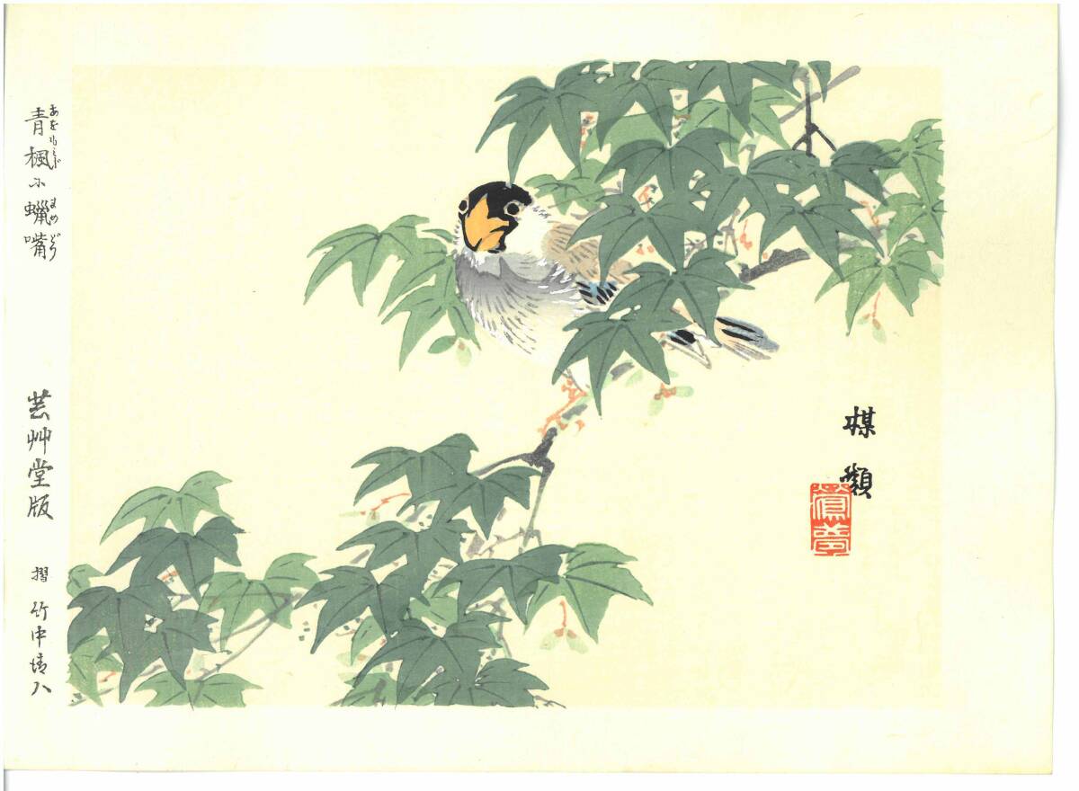 真作保証 幸野楳嶺 木版画 まめどり Cuttlefish bird 初版 明治~ 今にも飛び立ちそうなリアルな鳥たち!拍卖