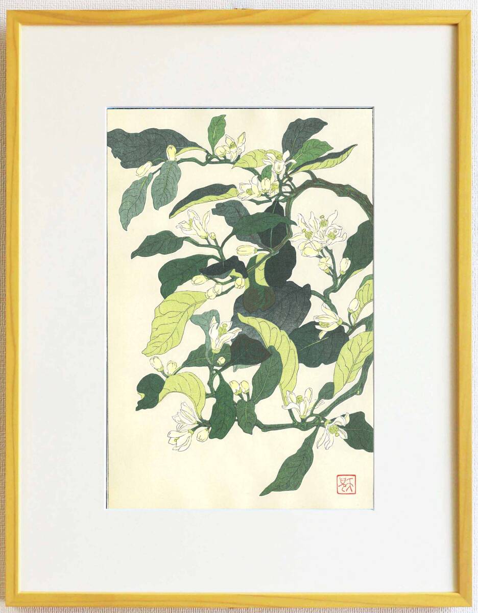 真作保証 額装 葛原 輝 木版画 F157 みかん 花版画 初版昭和中期頃 自宅に届いて直ぐに飾れる京都の名品 花版画!! 拍卖