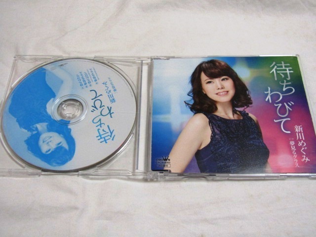 新川めぐみ / 待ちわびて/夢見るグラス拍卖