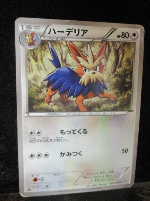◎ポケモンカード  ハーデリア  1進化  illus.Midori Harada  043/053 U  BW1  2010年 即決!!拍卖