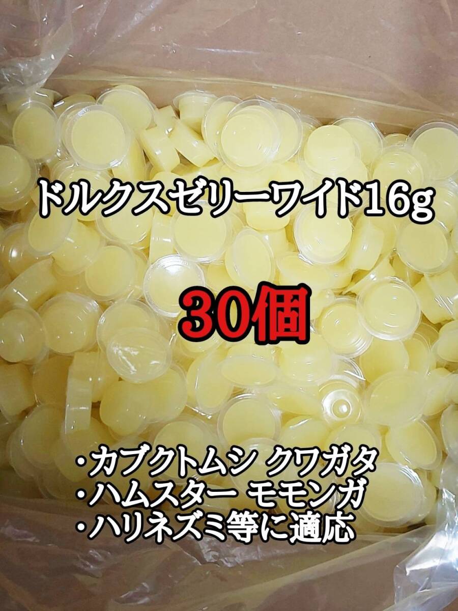 ドルクスゼリーワイドS16g 30個 フジコン 昆虫ゼリー オオクワ カブトムシ 小動物拍卖