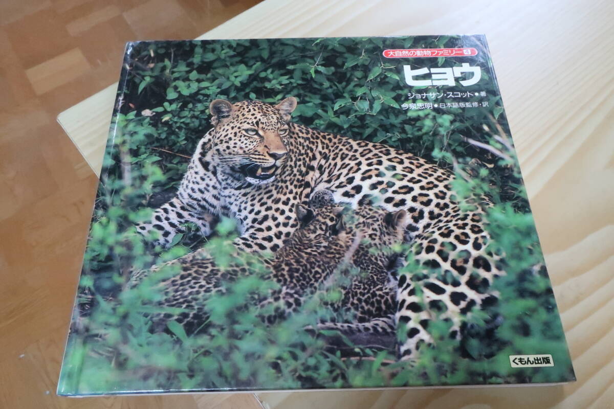 大自然の動物ファミリー ヒョウ ジョナサン・スコット拍卖