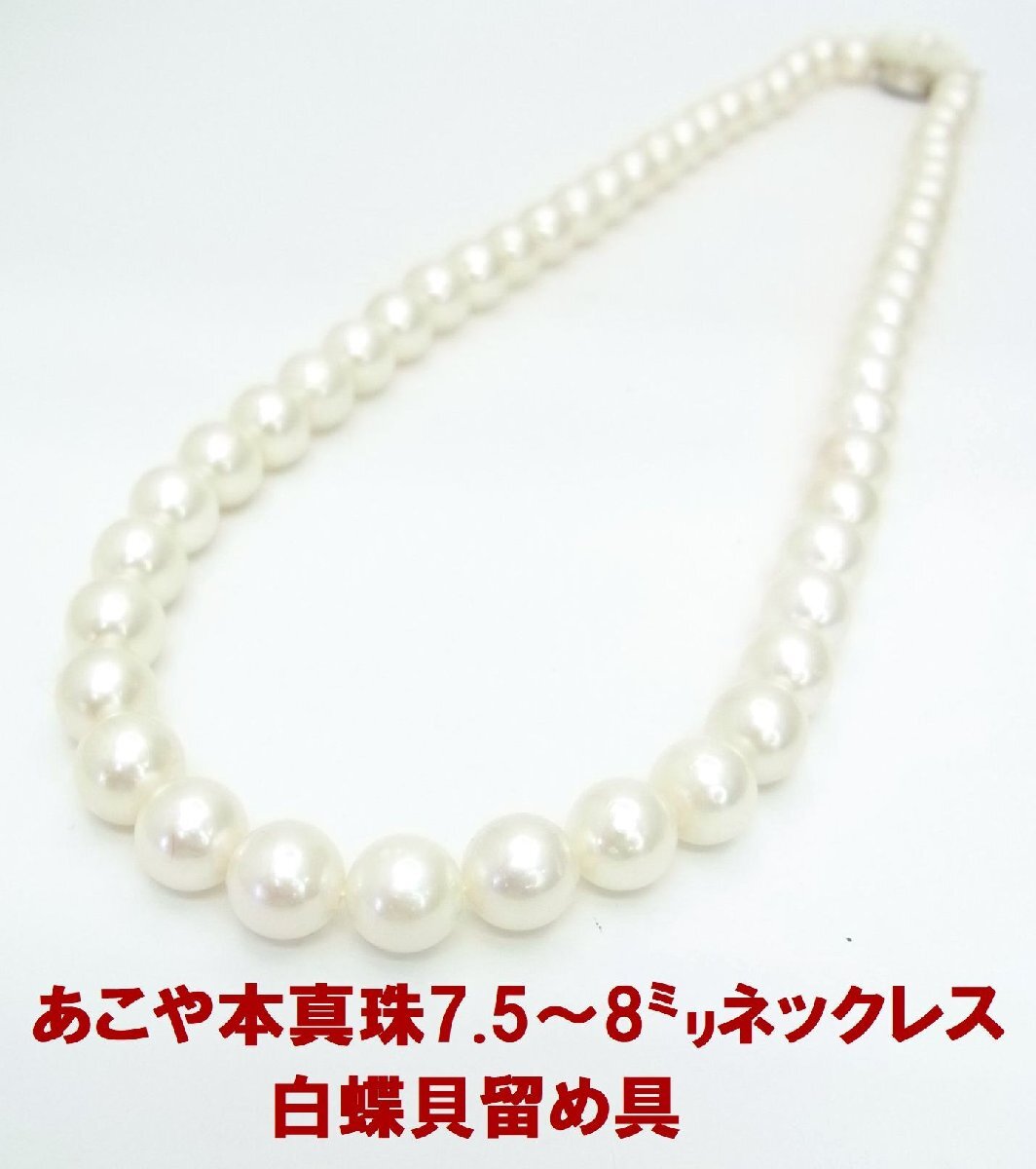 かわいいシェルの留め具付 あこや本真珠 7.5-8ミリ ネックレス 卸価格でご奉仕 紹介動画あり 送料込み拍卖