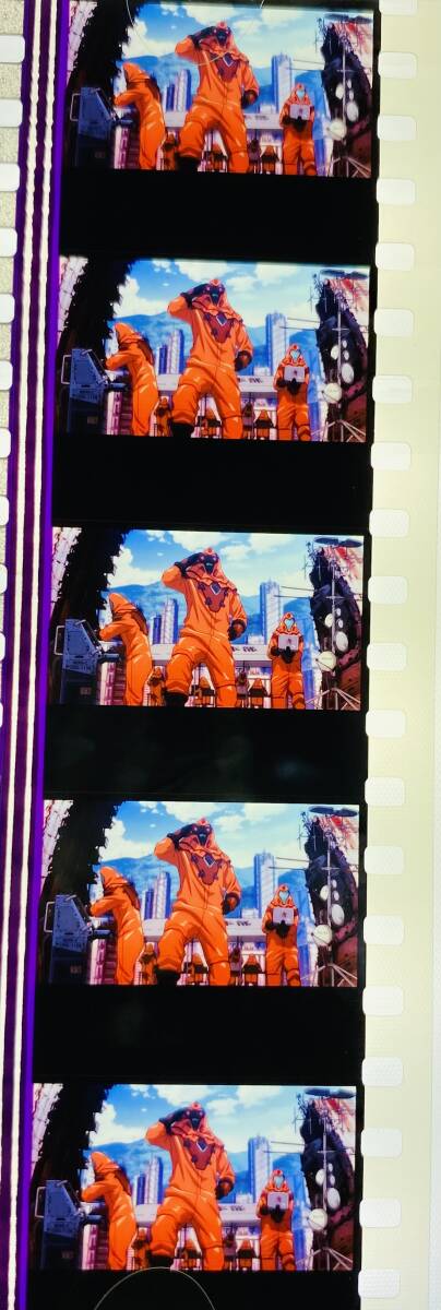 ■即決 同梱可■ エヴァンゲリオン 新劇場版 序 DVD 初回特典 フィルム - ミサト & ネルフ職員 (第4使徒戦後)拍卖