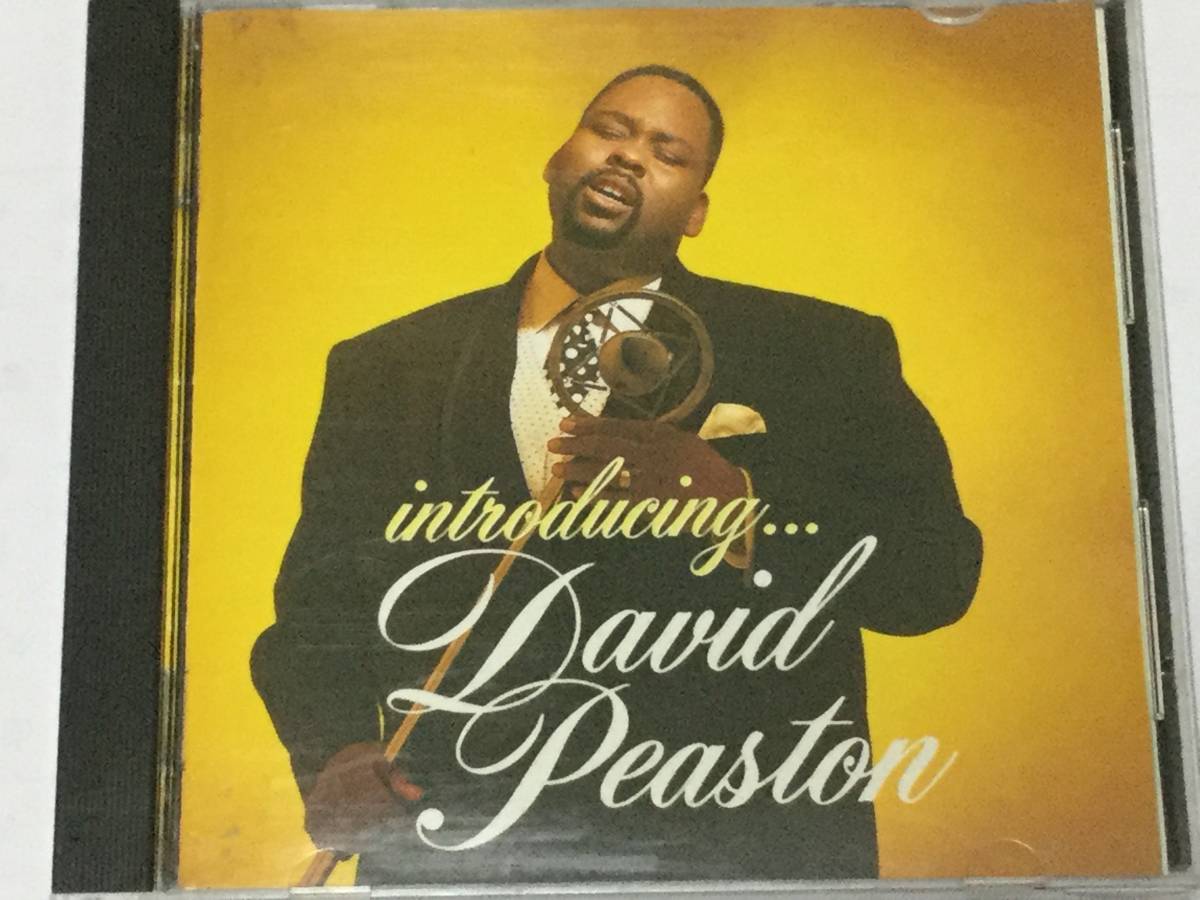 廃盤/国内盤CD/AOR/デヴィッド・ピーストン/イントロデューシング… 【ブラコン本掲載】拍卖
