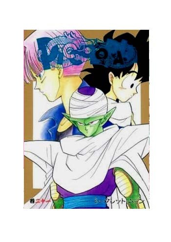 ドラゴンボール同人誌★ 悟飯×ピッコロ 悟空×ピッコロ 飯P 空P【 PICCOLOBALL 21 】 アラミスさまFC拍卖