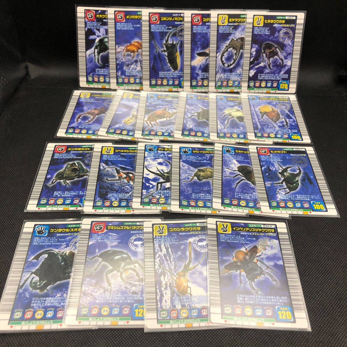 ムシキングカード 2004 パラレルコレクション 22枚セット売り M5拍卖