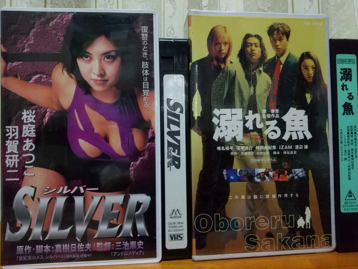 シルバー 桜庭あつこ 羽賀研二 真樹日佐夫 三池崇史 溺れる魚 2本セット拍卖
