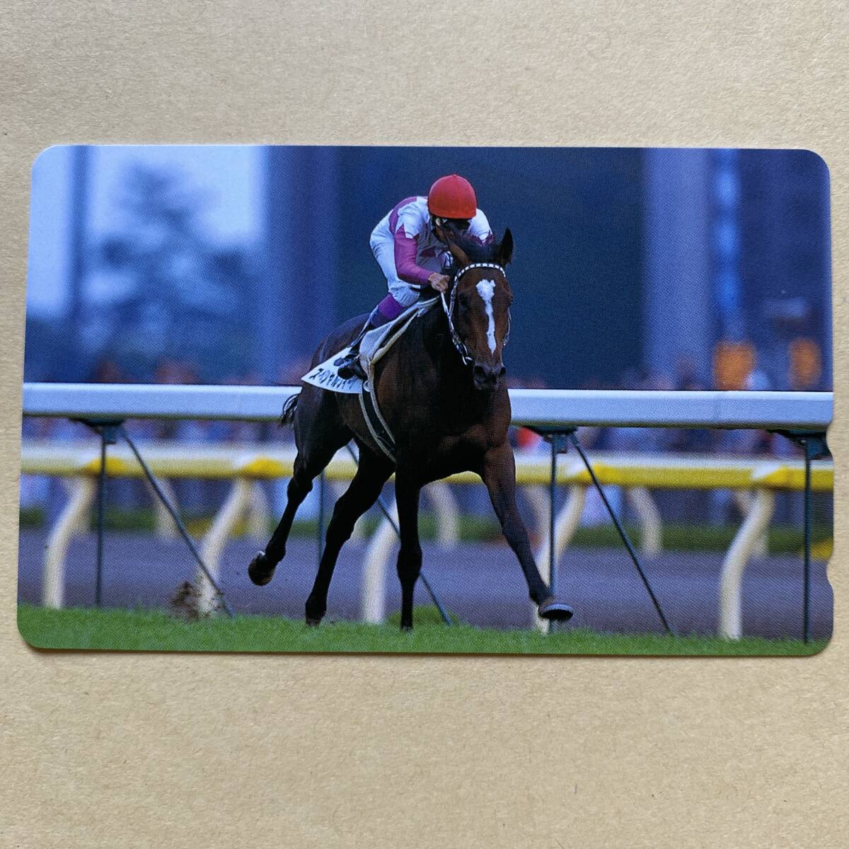 【未使用】 競馬テレカ 50度 スペシャルウィーク 武豊拍卖