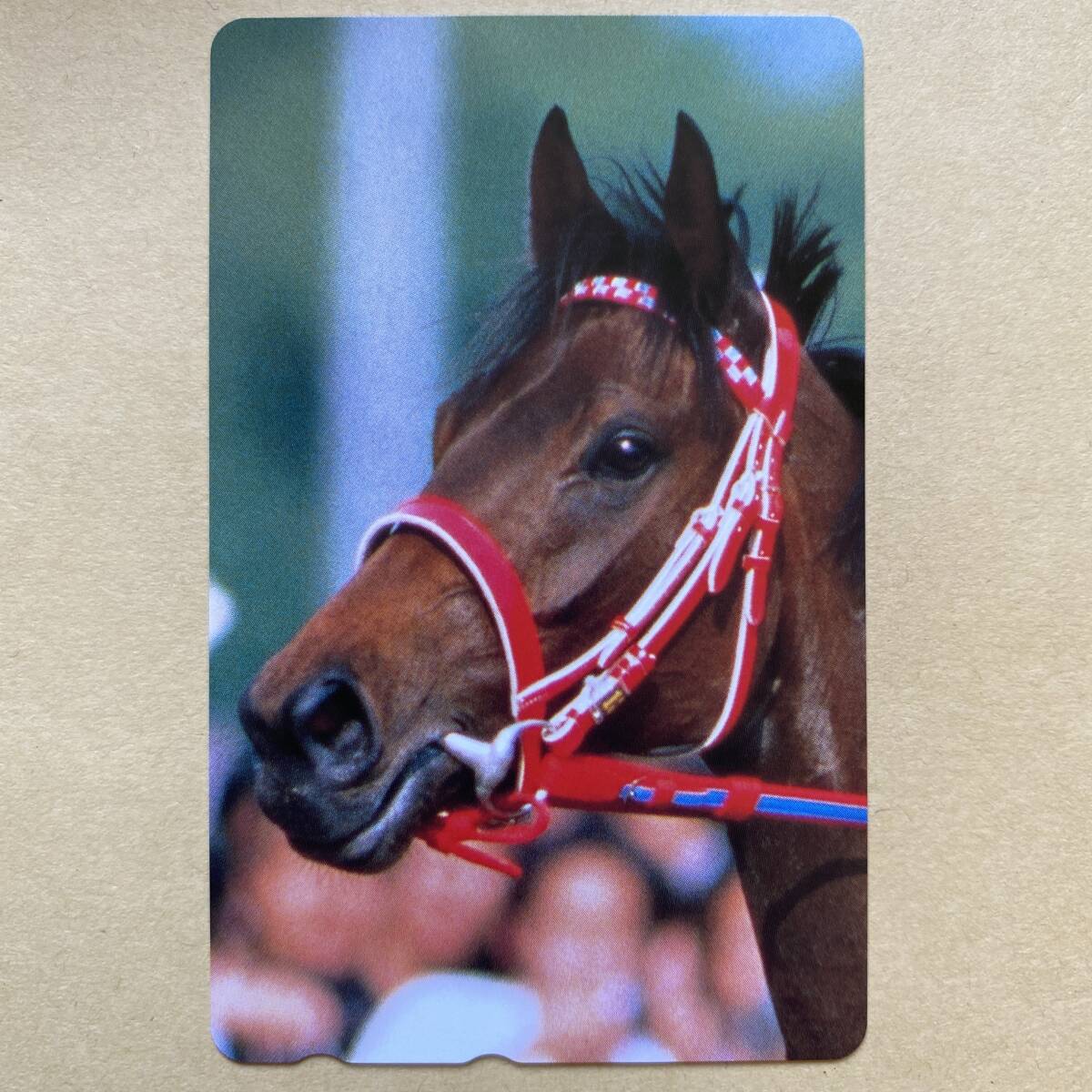 【未使用】 競馬テレカ 50度 シーキングザパール拍卖