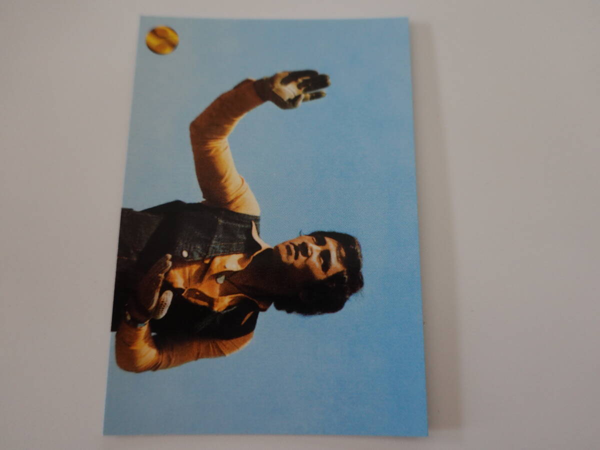 D53 2004 仮面ライダーV3チップス 仮面ライダーV3カード拍卖