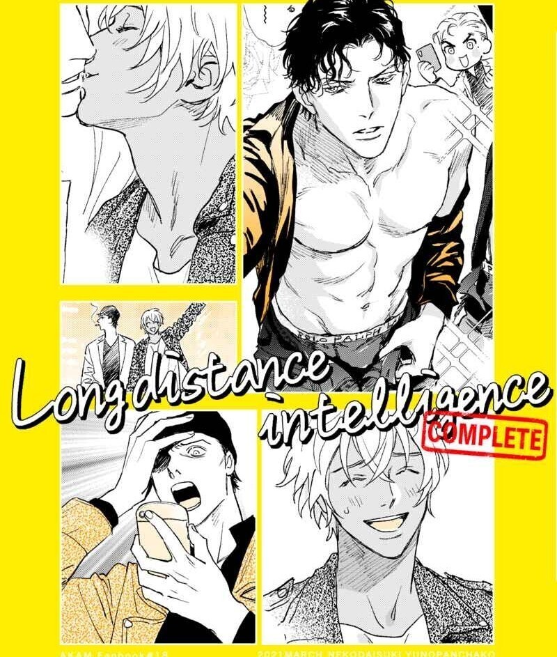 名探偵コナン 同人誌 ゆのぱんちゃこ/猫大好き 「LDI COMPLETE」再録 赤井秀一×安室透 赤安拍卖