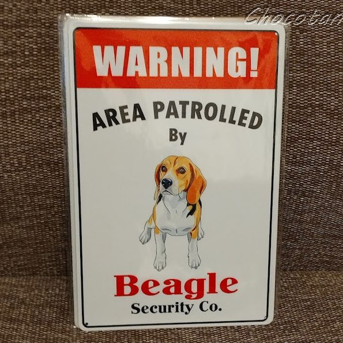 【送料無料】Beagle ビーグル ⑧ 要注意 メタルサインプレート【新品】拍卖