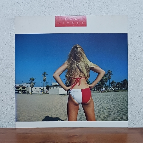 LP/ ダン・シーゲル☆DAN SIEGEL「ロスト・イン・メモリー」ライナーノーツ付 / 水着ジャケ拍卖