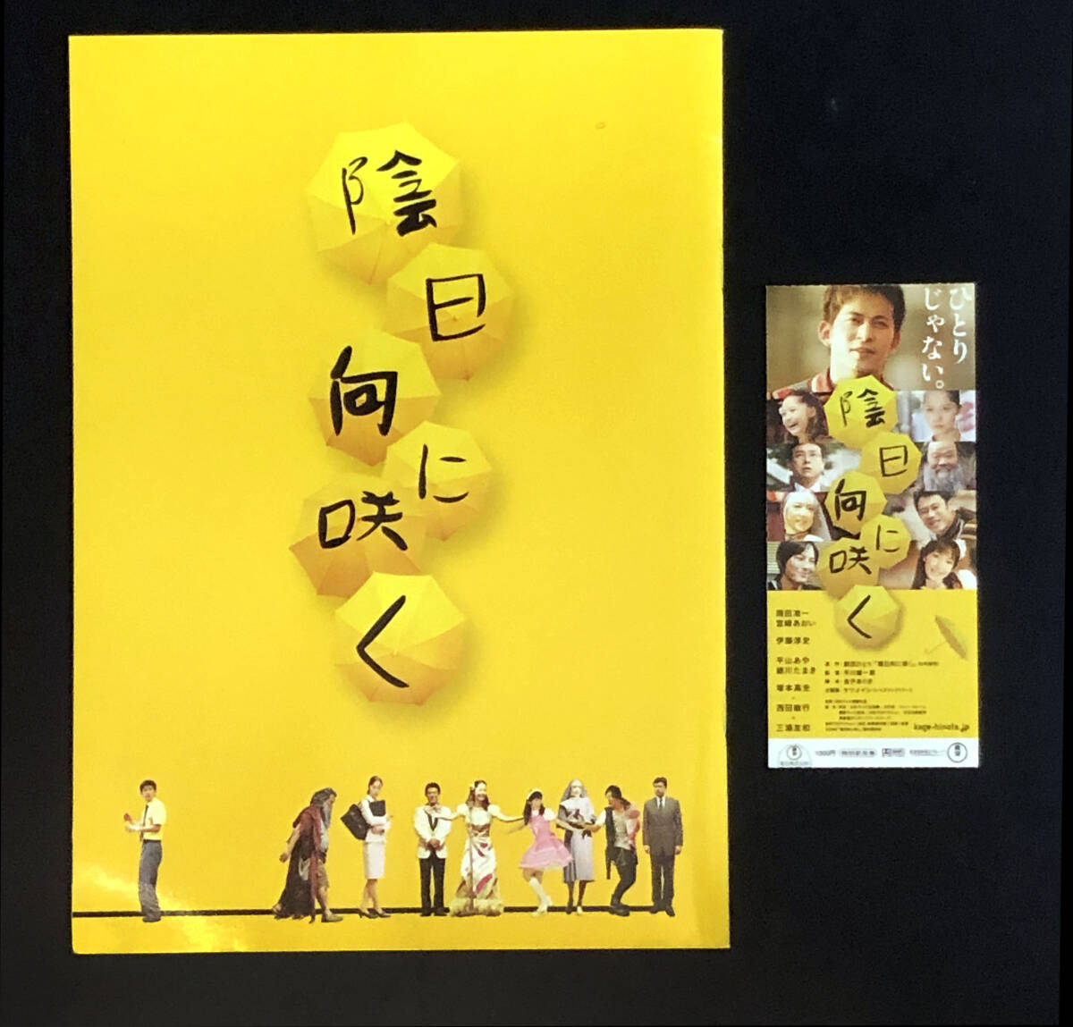 ★(8) 陰日向に咲く(2008年)パンフレット・半券 平川雄一朗・岡田准一・宮崎あおい・伊藤淳史・平山あや・緒川たまき・根岸季衣拍卖