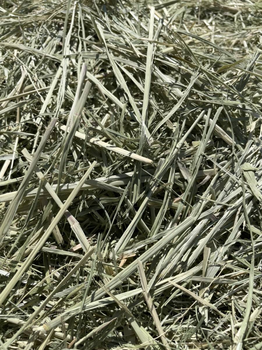 クレイングラス30kg 牧草 乾草 飼料 エサ拍卖