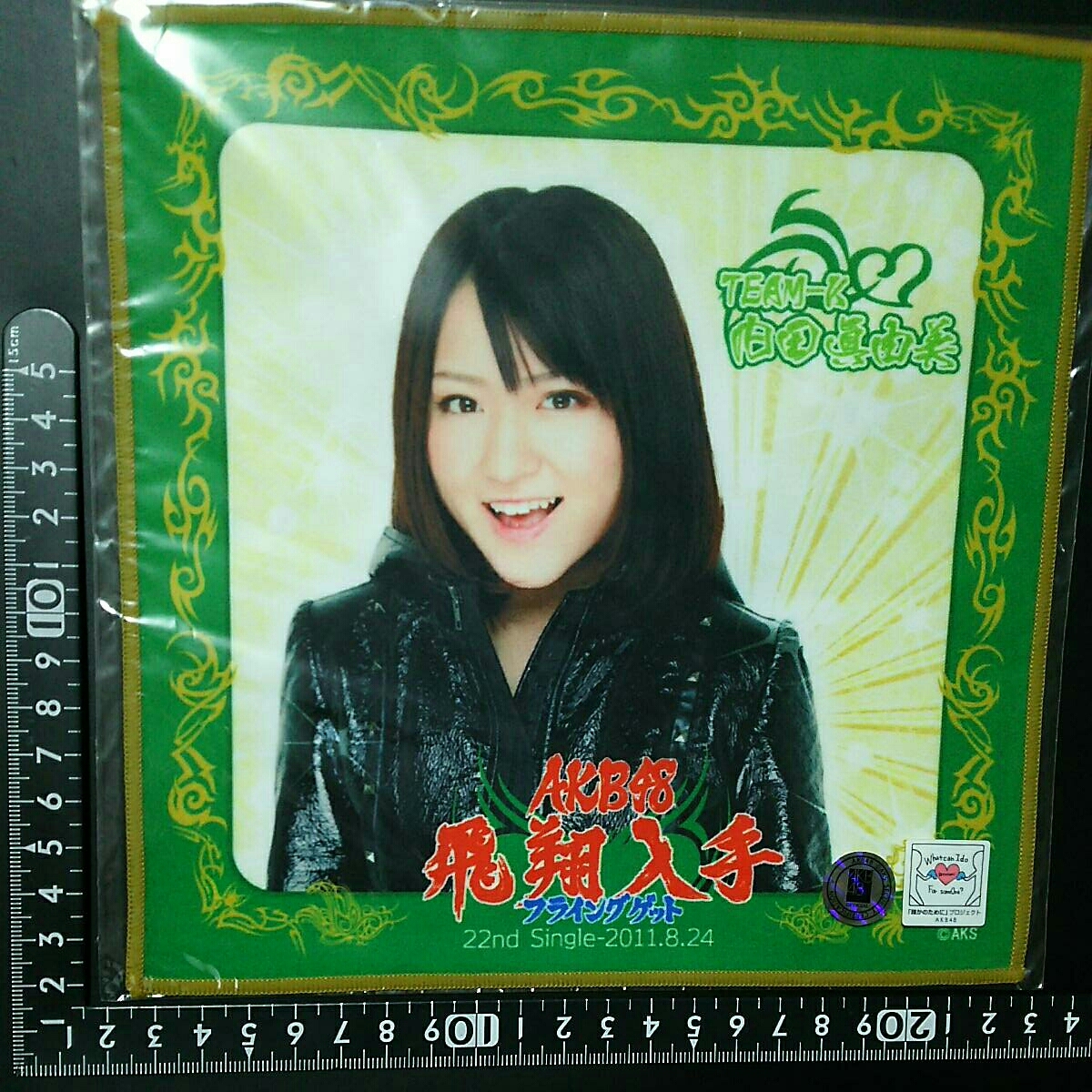 超素敵☆AKB48☆飛翔入手☆フライングゲット☆推しタオル☆内田眞由美☆残1拍卖