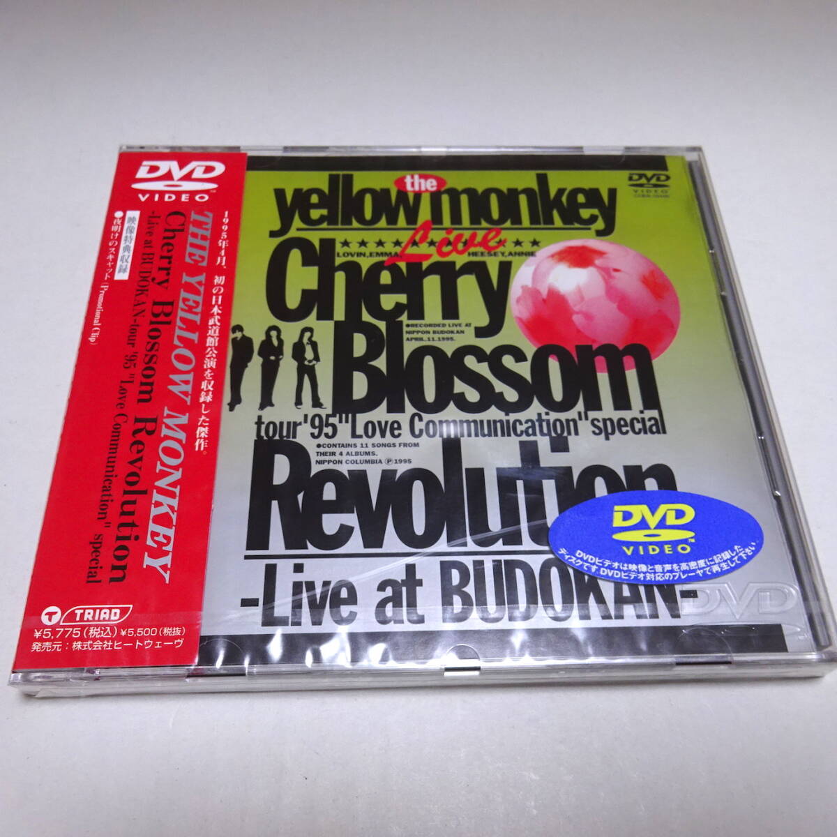 未開封DVD「THE YELLOW MONKEY / CHERRY BLOSSOM REVOLUTION」ザ・イエロー・モンキー/COBA-50448拍卖