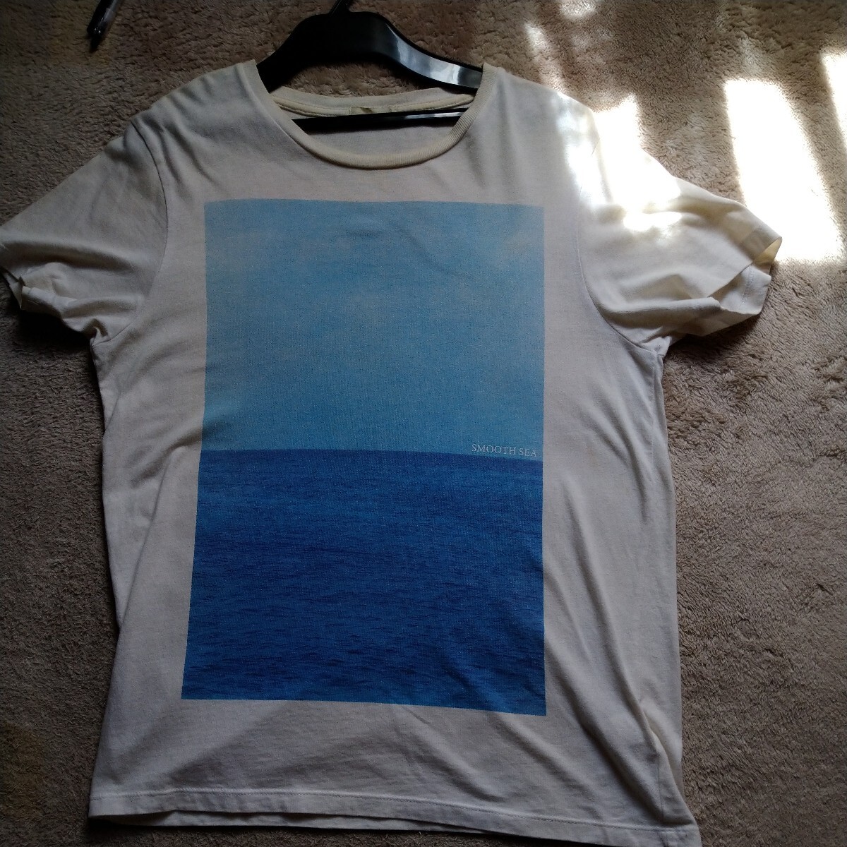 Tシャツ 半袖 古着(断捨離)拍卖