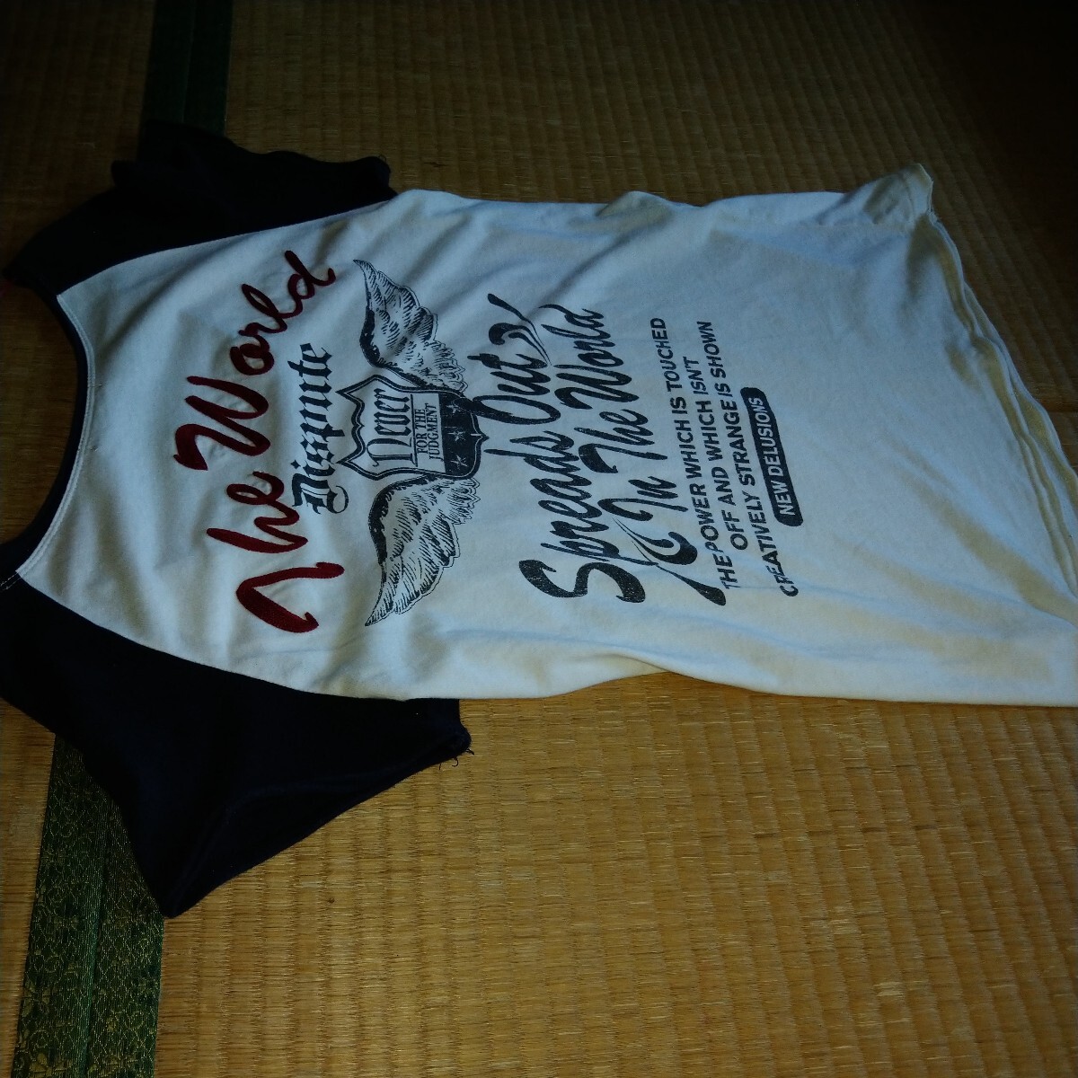 古着 Tシャツ 半袖 古着(断捨離)バックプリント拍卖