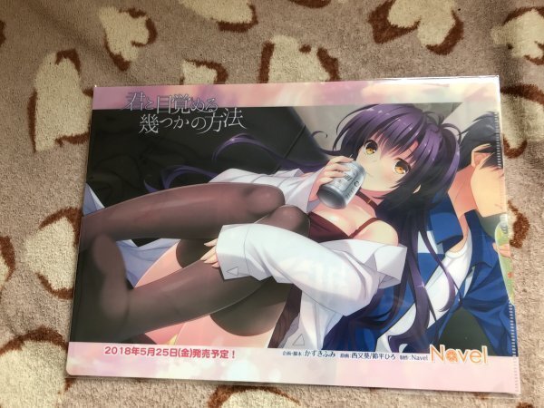 d079クリアファイル 君と目覚める幾つかの方法 (Navel) 特典 西又葵 , 鈴平ひろ拍卖