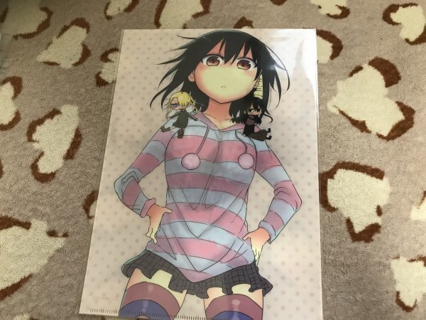 d078クリアファイル 小森さんは断れない! まんがタイム クール教信者 とらのあな特典2  小林さんちのメイドラゴン拍卖