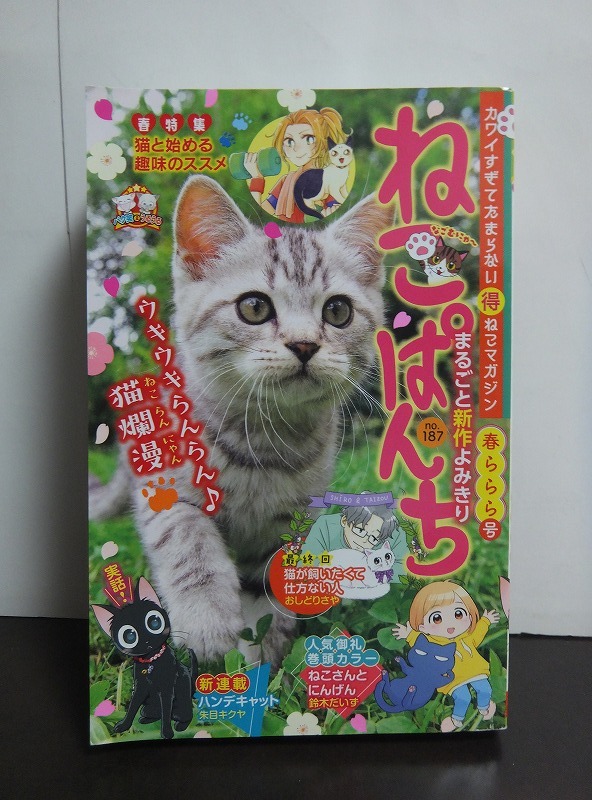 ねこぱんち 春ららら号 /中古本!!CP拍卖