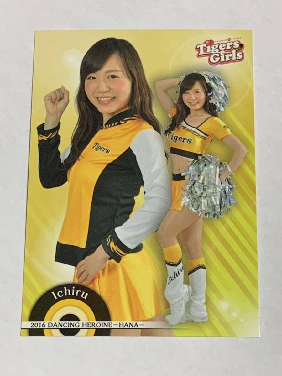 Ichiru 2016 BBM チアリーダー 華 #75 阪神 Tigers Girls 即決拍卖