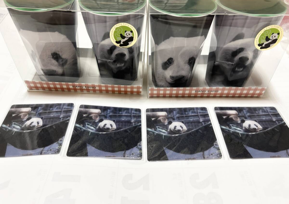 シャンシャン 3歳 記念ラテカップ(メラミンカップ)4個 公式グッズ 毎日パンダ 非売品 限定コースター4枚セット 上野松坂屋パンダフルデイズ拍卖