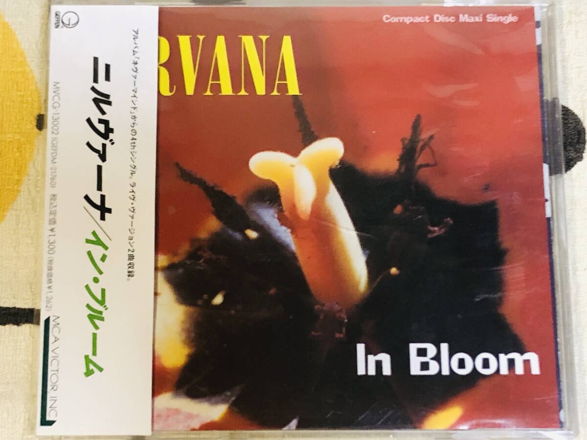 ★中古CD NIRVANA/ニルヴァーナ「IN BLOOM」 japan mint obi 日本盤/帯付/品番:MVCG-13002 KURT COVAIN 拍卖