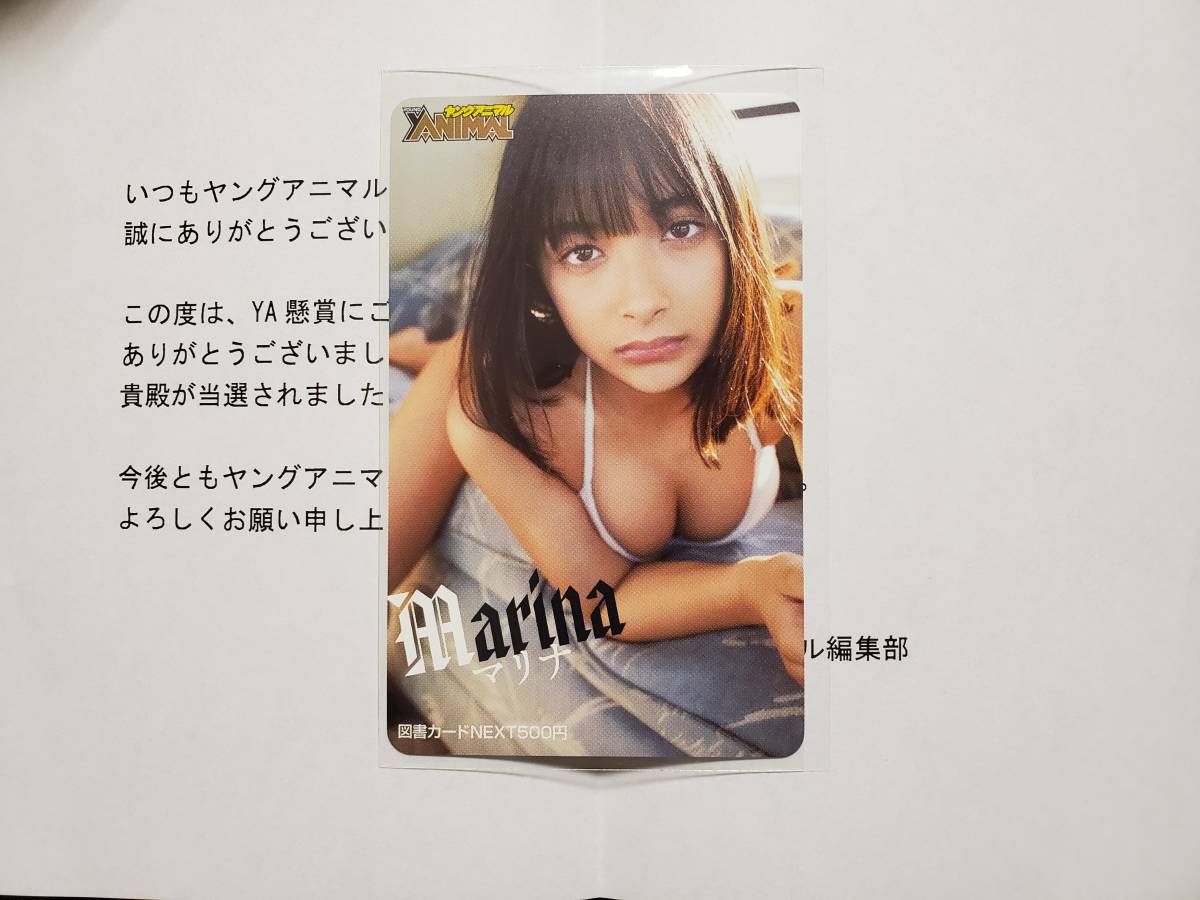 ヤングアニマル 抽プレ 図書カード NEXT マリナ拍卖