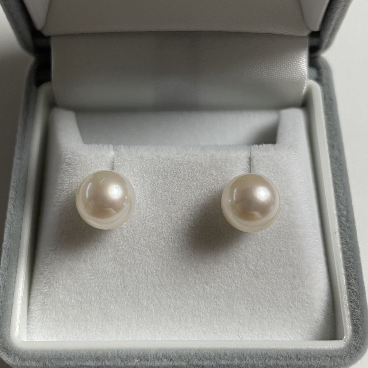 PT900 アコヤパールピアス拍卖