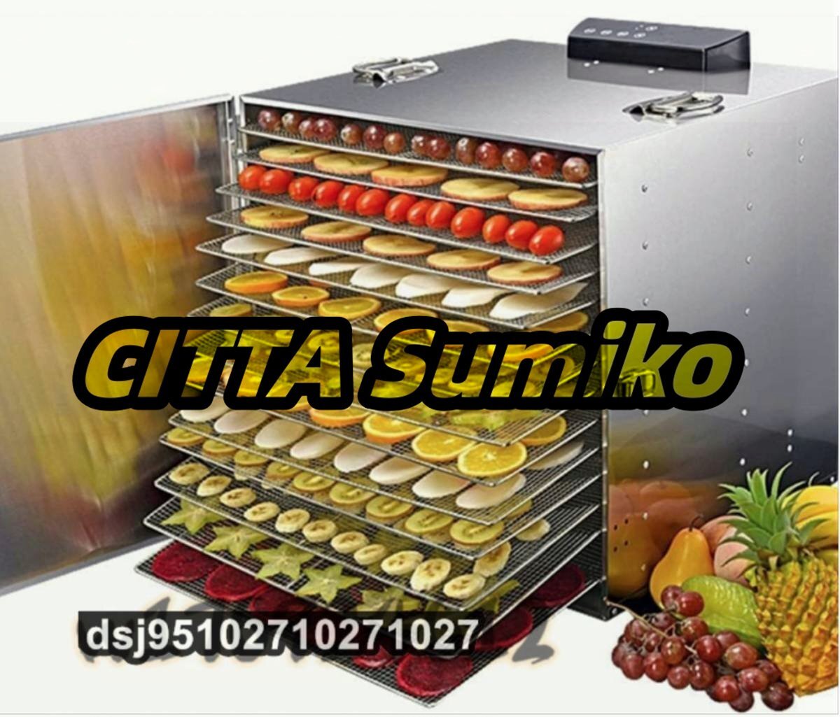 食品乾燥機 智能温度制御 LCD 熱風循環 15層 野菜果物キノコ 花 家庭用 食品グレード 乾燥 業務用 ステンレス鋼拍卖