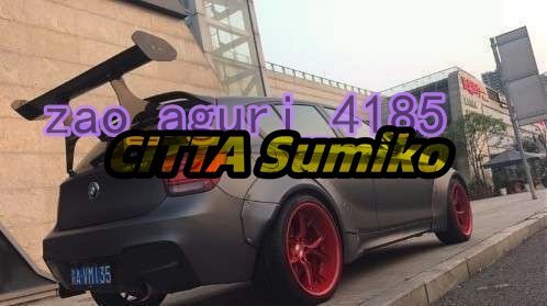 BMW 135i GTウイング レーシング カーボンファイバー リアスポイラー拍卖