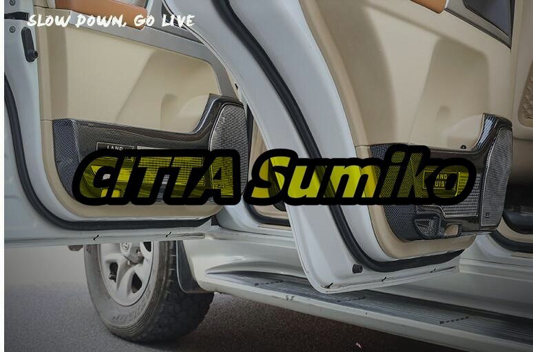 新品カーボン調 改良 トヨタ ランドクルーザー200 専用 フロント リア ドア カバー ガーニッシュ 4Pセット拍卖