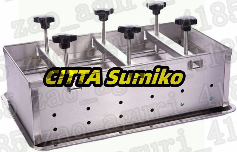 ステンレス鋼の肉プレス金型、ハンバーガーパティメーカー、二軸加圧装置付きハムプレス金型、バーベキュー、グリル、牛肉用 10KG拍卖