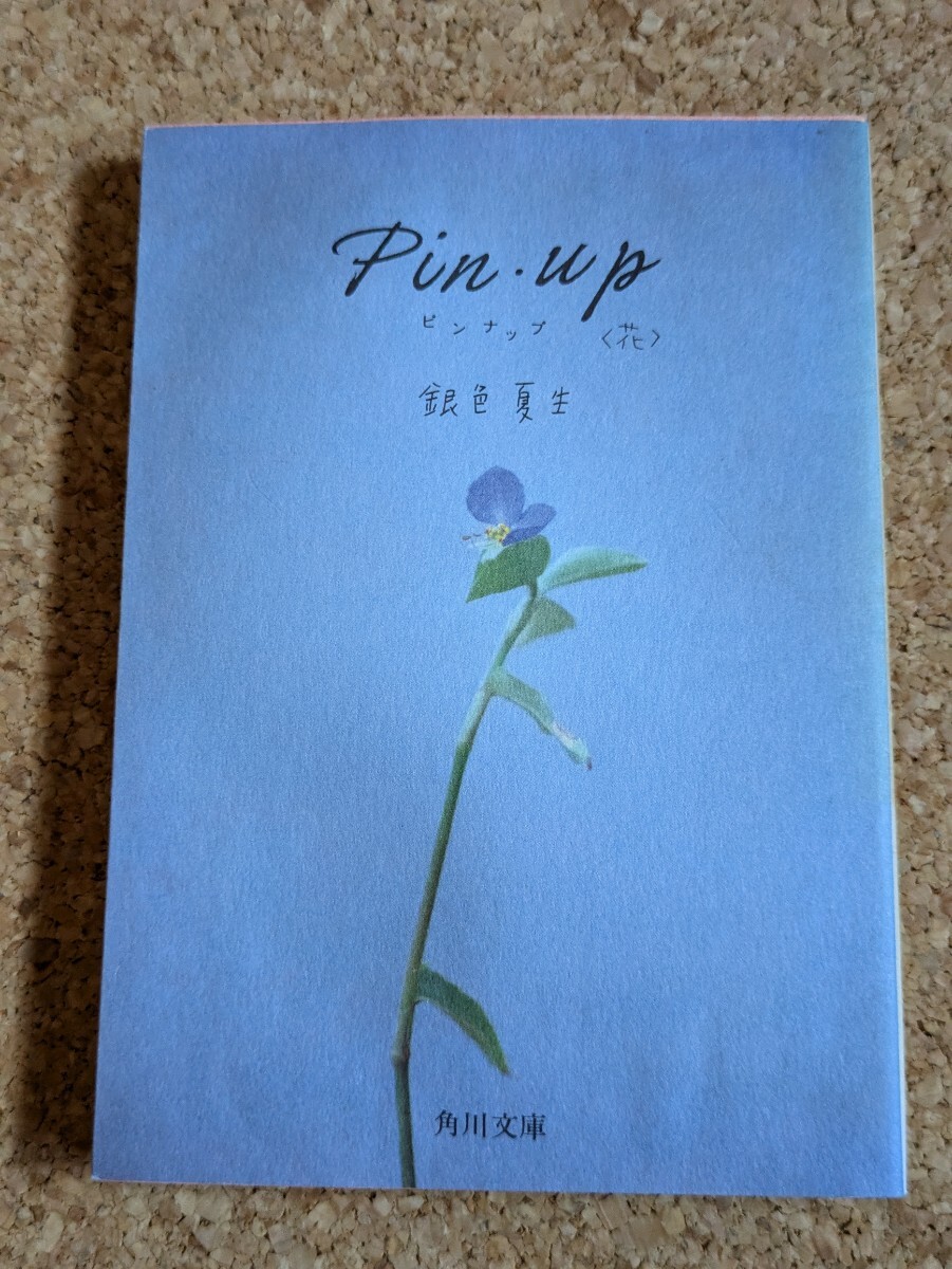 文庫 【銀色夏生】 「Pin・up」 ピンナップ 花 角川文庫 初版 ポストカード集拍卖