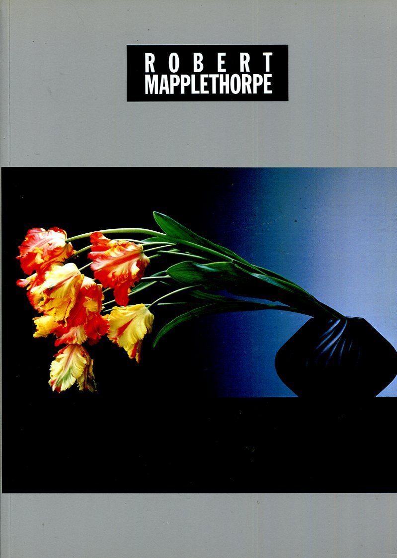 P- ロバート・メイプルソープ展 図録 1996年拍卖