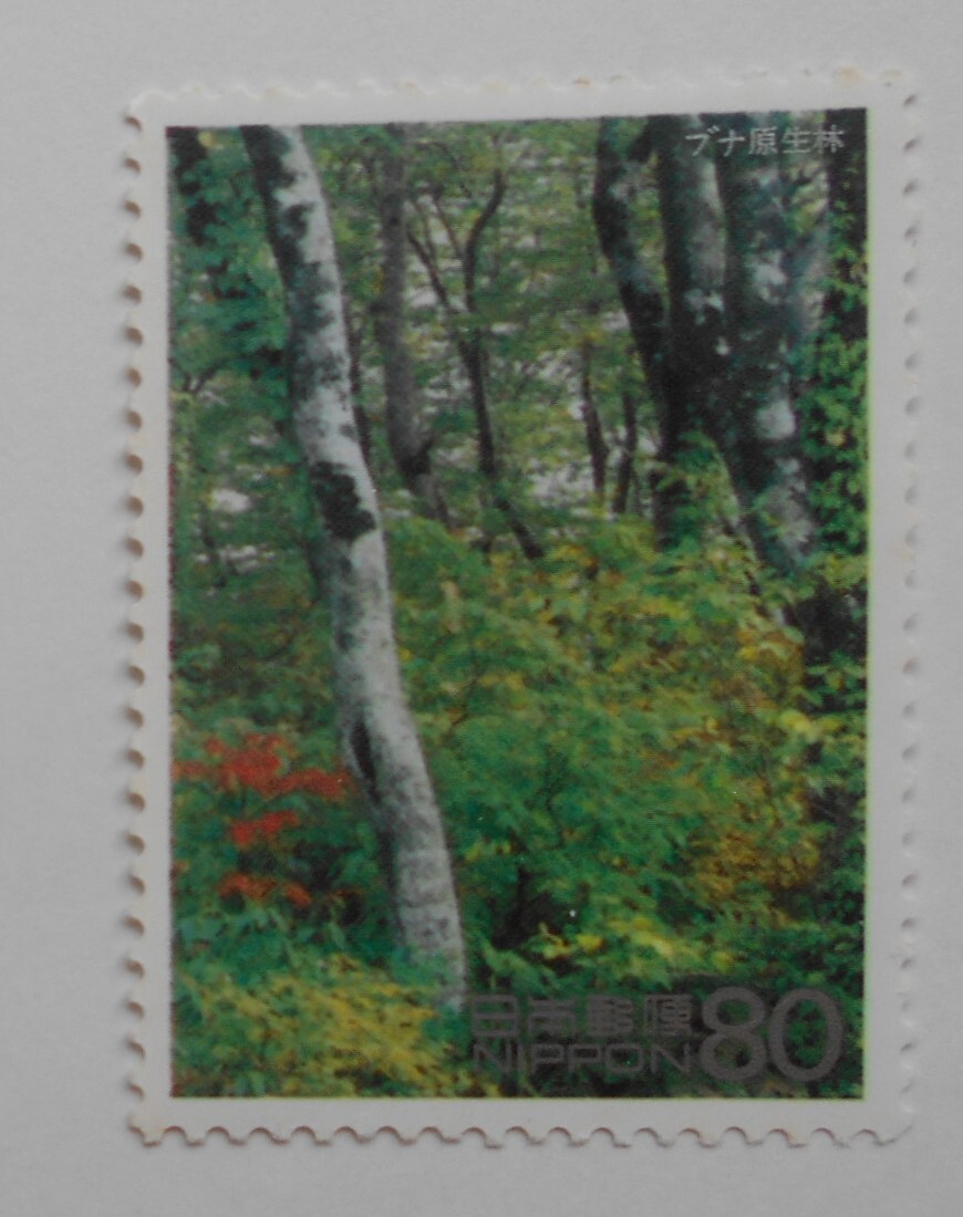 世界遺産シリーズ(第1次) ブナ原生林 未使用80円切手拍卖