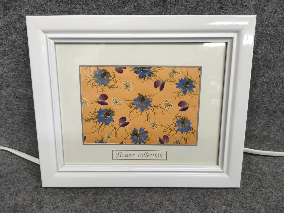 Flower collection 押し花絵 額縁白拍卖