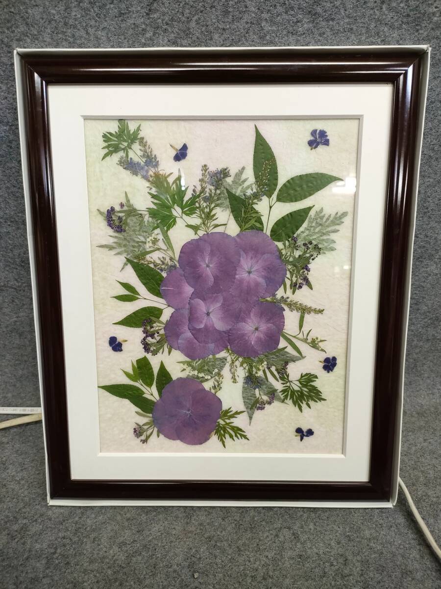 押し花 風景画 アサガオ 36額茶 ふしぎな花倶楽部拍卖