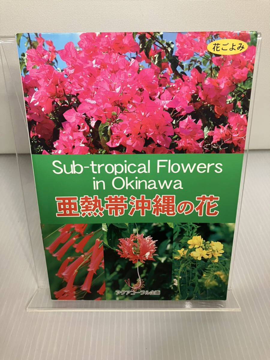 亜熱帯沖縄の花: 花ごよみ拍卖